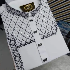 Eid Collection Panjabi